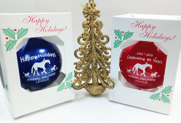 Holiday Ornament 2020