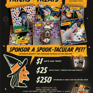 Animal Food and Treats for a Month