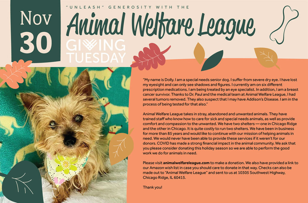 Animal Welfare League Giving Tuesday 2021